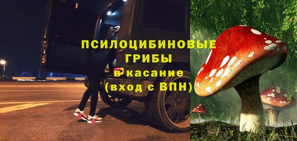винт Новозыбков