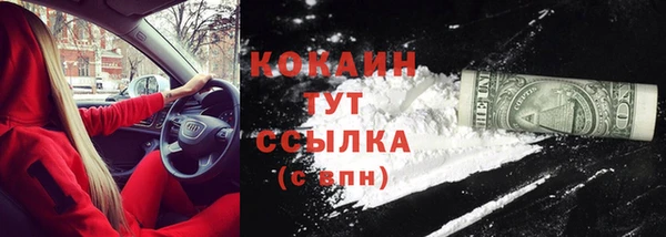 винт Новозыбков