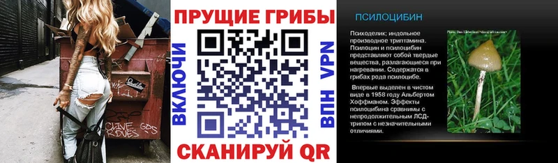 Псилоцибиновые грибы ЛСД  Купить где  Краснокаменск 